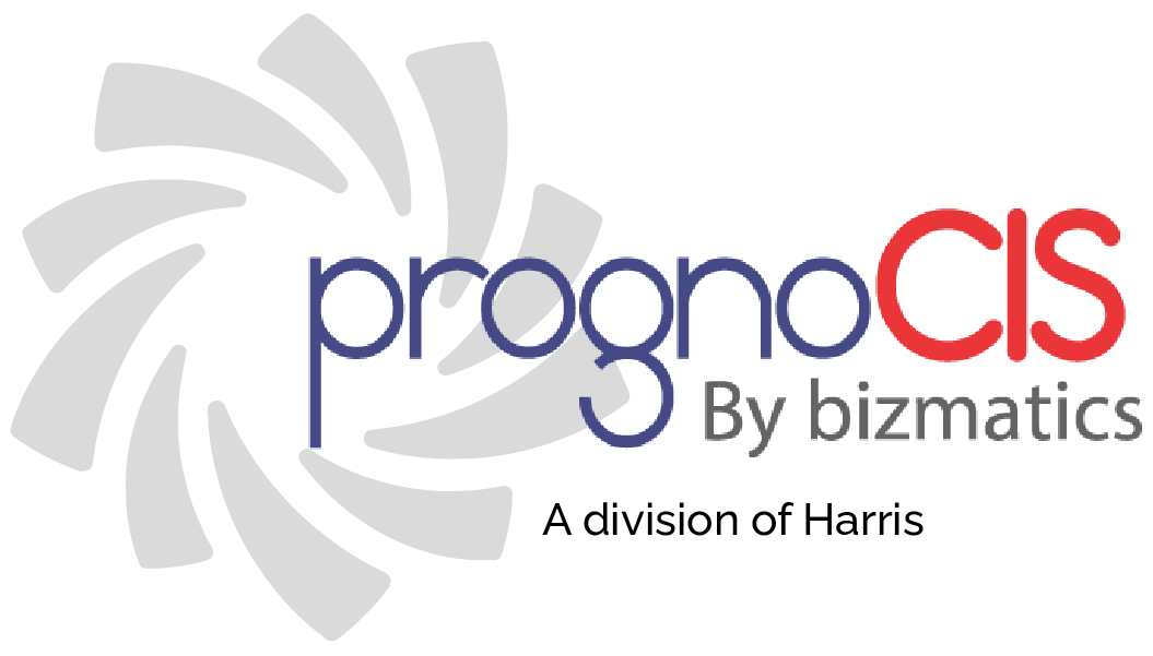 Bizmatics